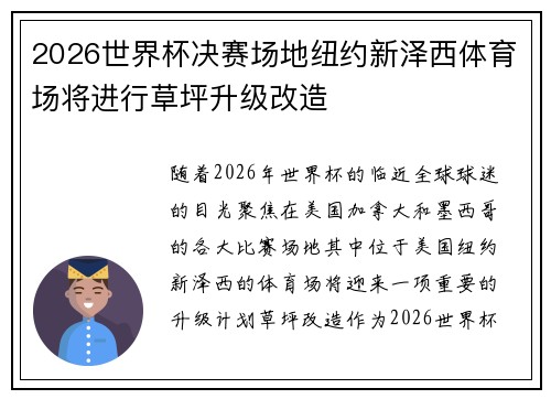 2026世界杯决赛场地纽约新泽西体育场将进行草坪升级改造