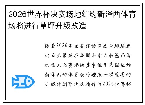2026世界杯决赛场地纽约新泽西体育场将进行草坪升级改造